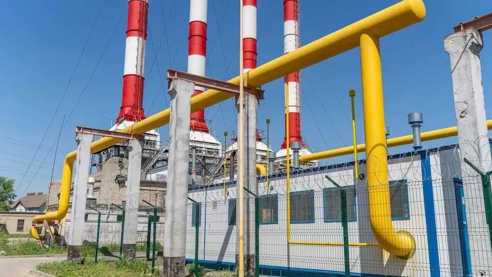 Фото: пресс-служба администрации г.о. Жуковский