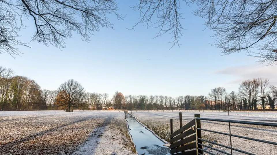 Фото: freepik.com