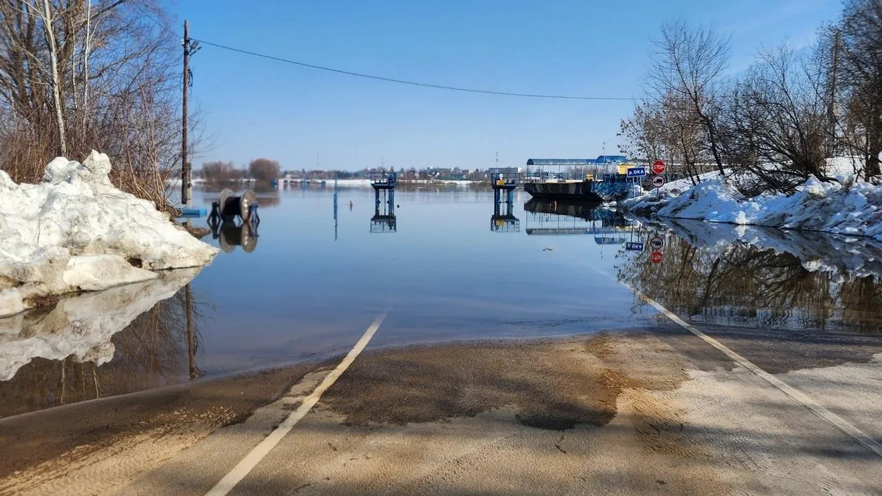 МедиаБанк Подмосковья/Анна Шолохова