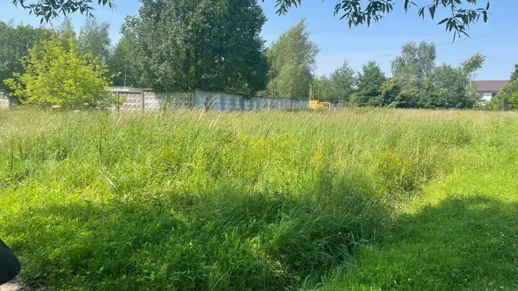 Фото: Комитет по конкурентной политике Московской области