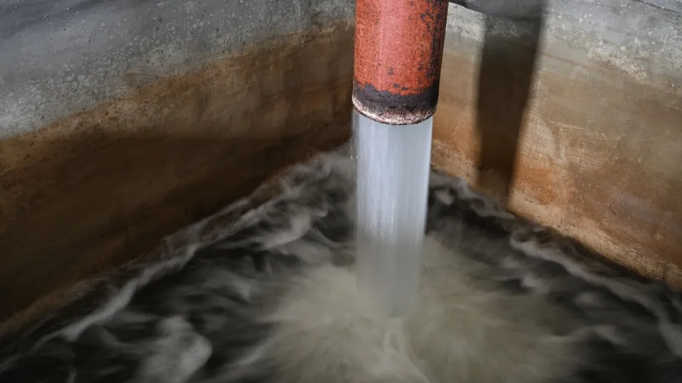 Фото: unsplash.com