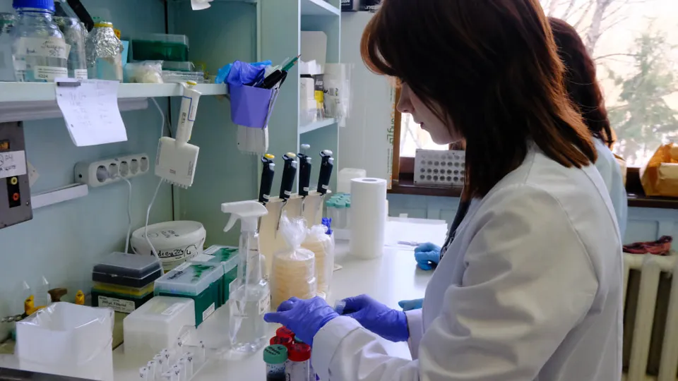 Фото: МедиаБанк Подмосковья/Мария Панина