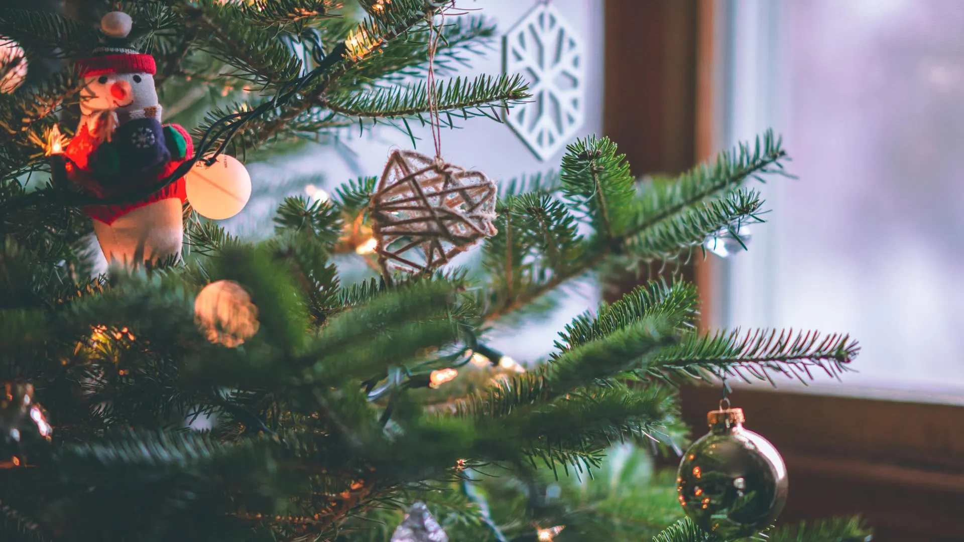 Фото: pxhere.com