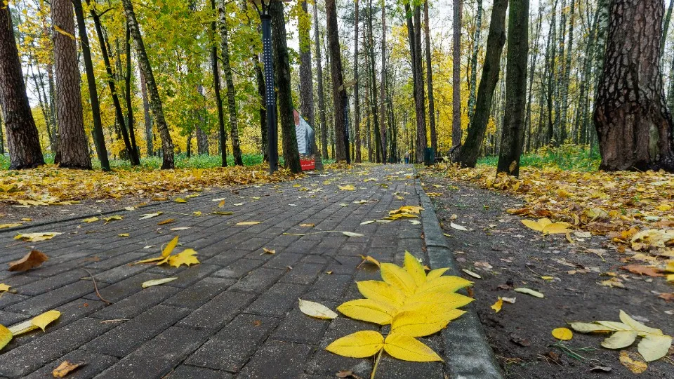 Фото: медиасток.рф