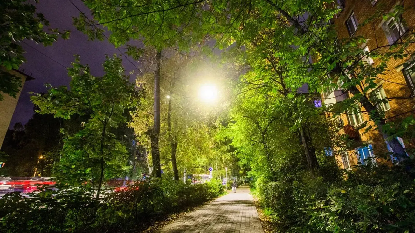 Фото: Минблагоустройства МО