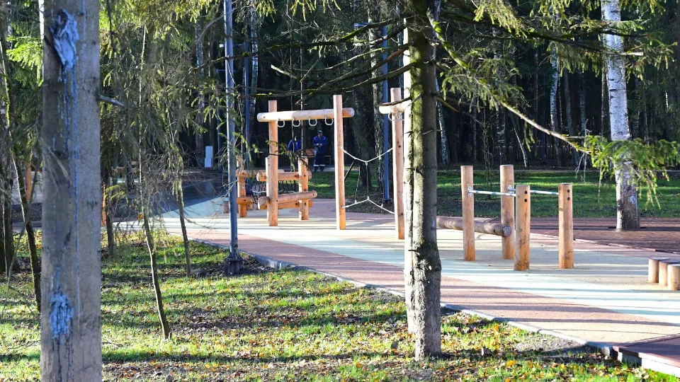 Фото: пресс-служба администрации Дмитровского м.о.