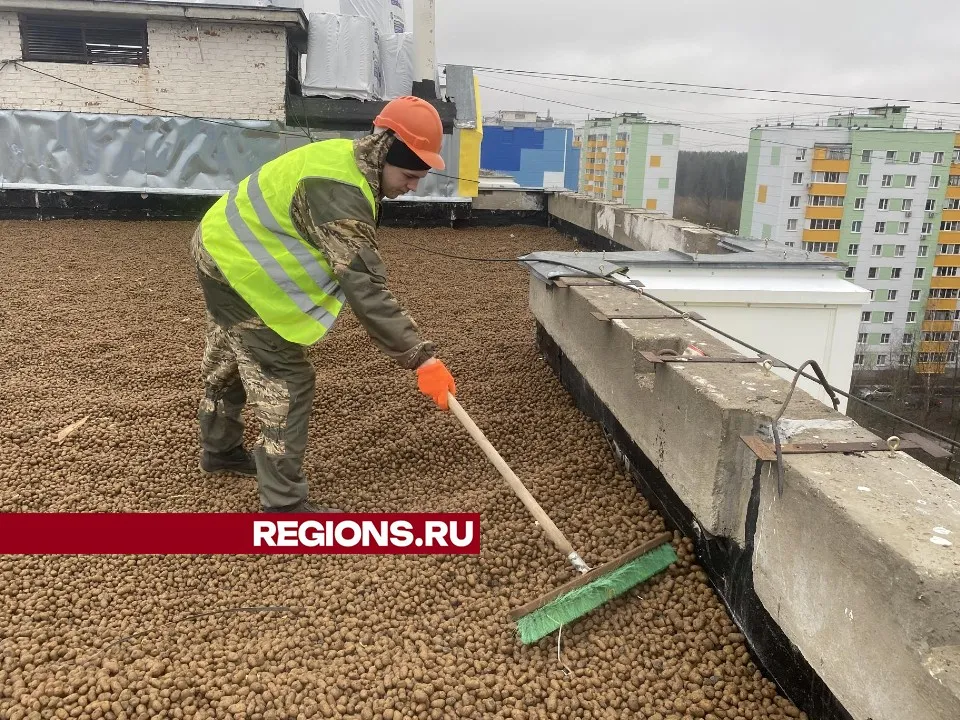 Фото: Елена Аботурова