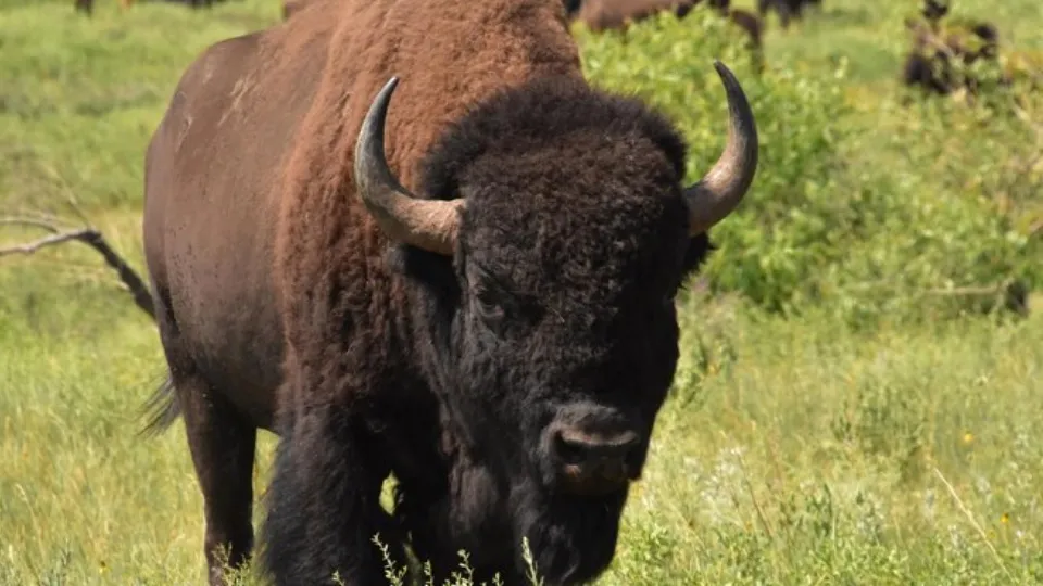 Фото: freepik.com