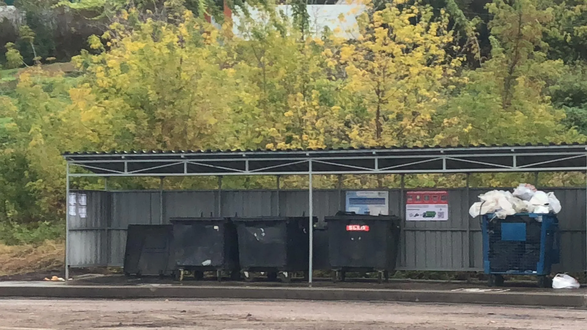 Владислава Соловьева