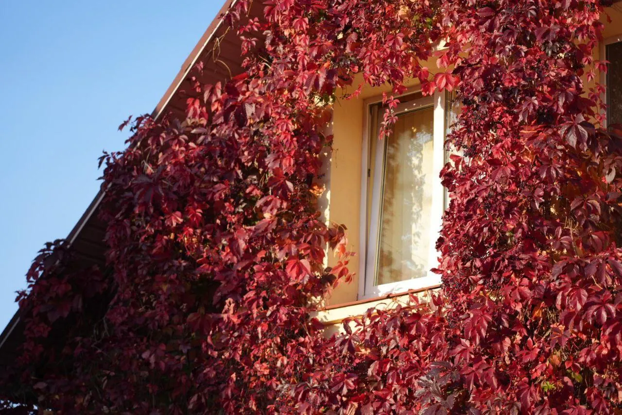 Дмитрий Зайчиков