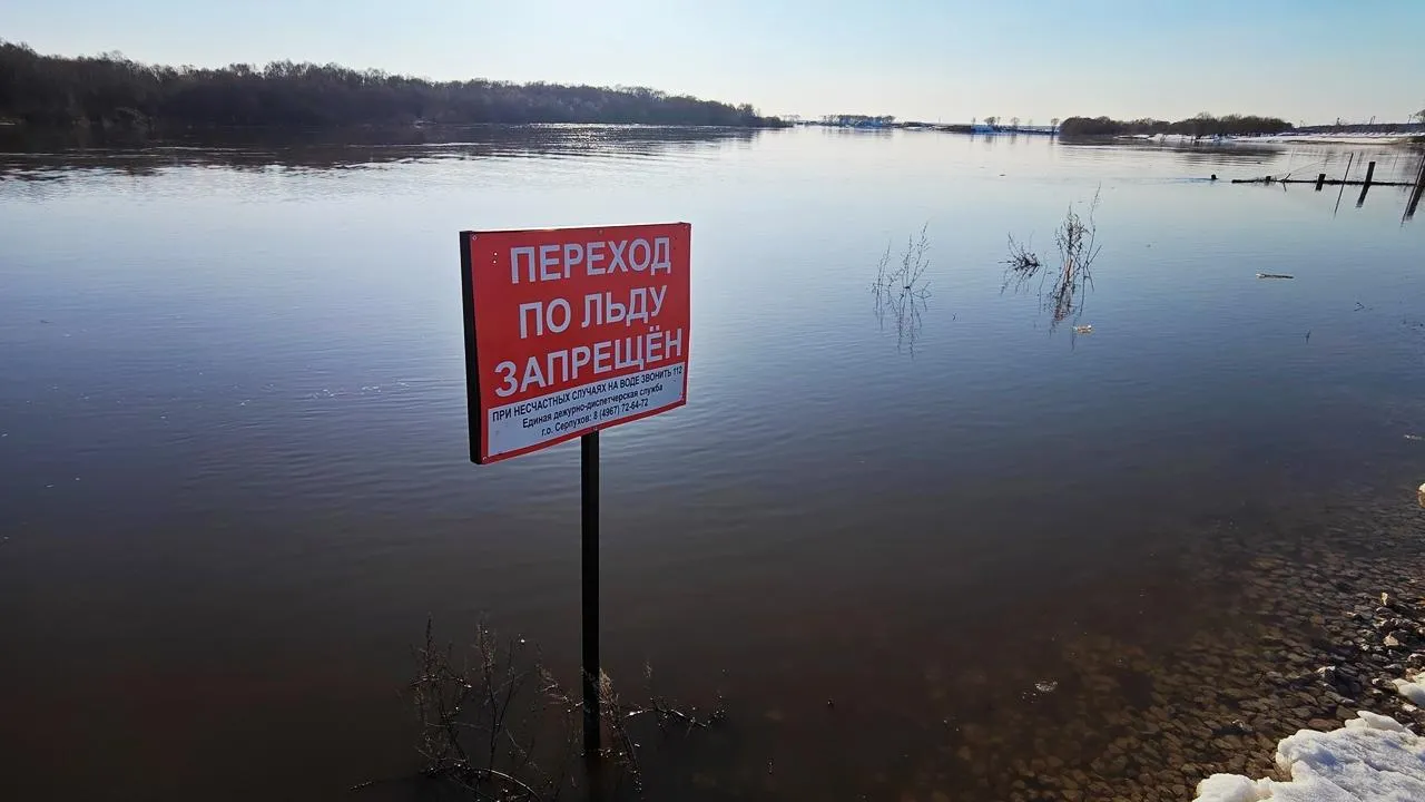 REGIONS/Алексей Селиверстов