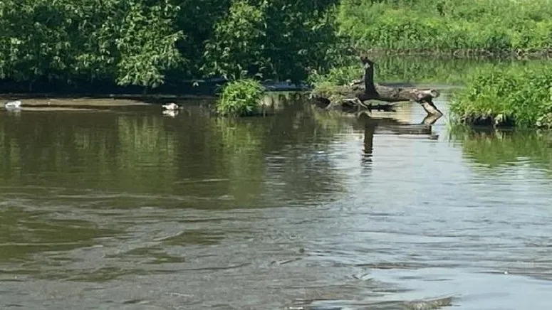 Фото: Минэкологии МО