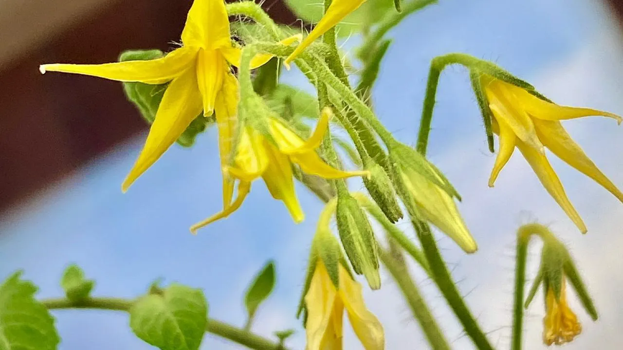 REGIONS/Александр Легкий