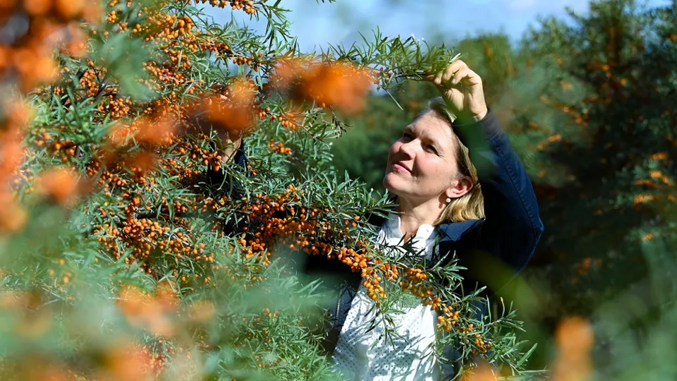 Фото: TASS/DPA/Jens Kalaene