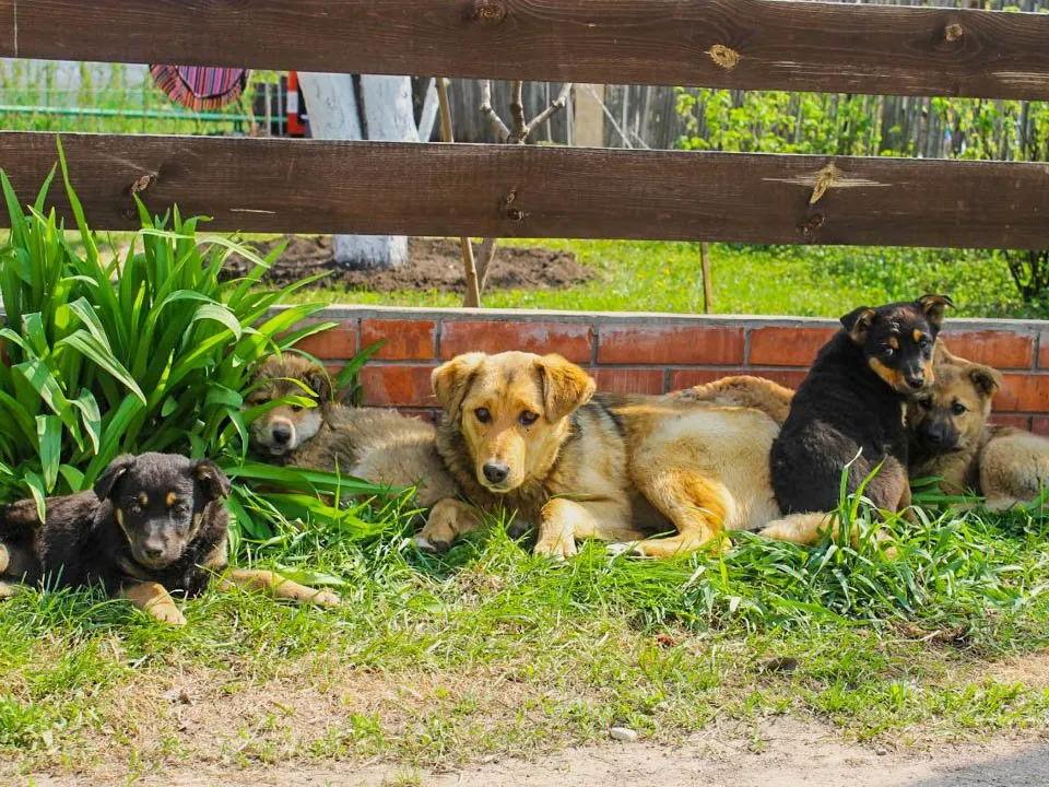 Фото: REGIONS/Эльвира Сафина