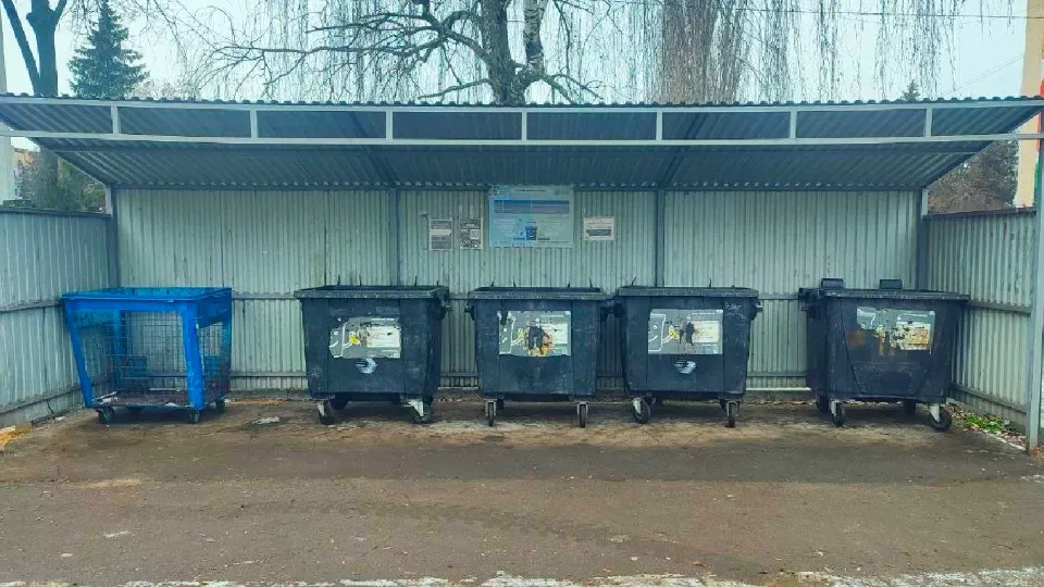 Фото: пресс-служба администрации м.о. Серебряные Пруды