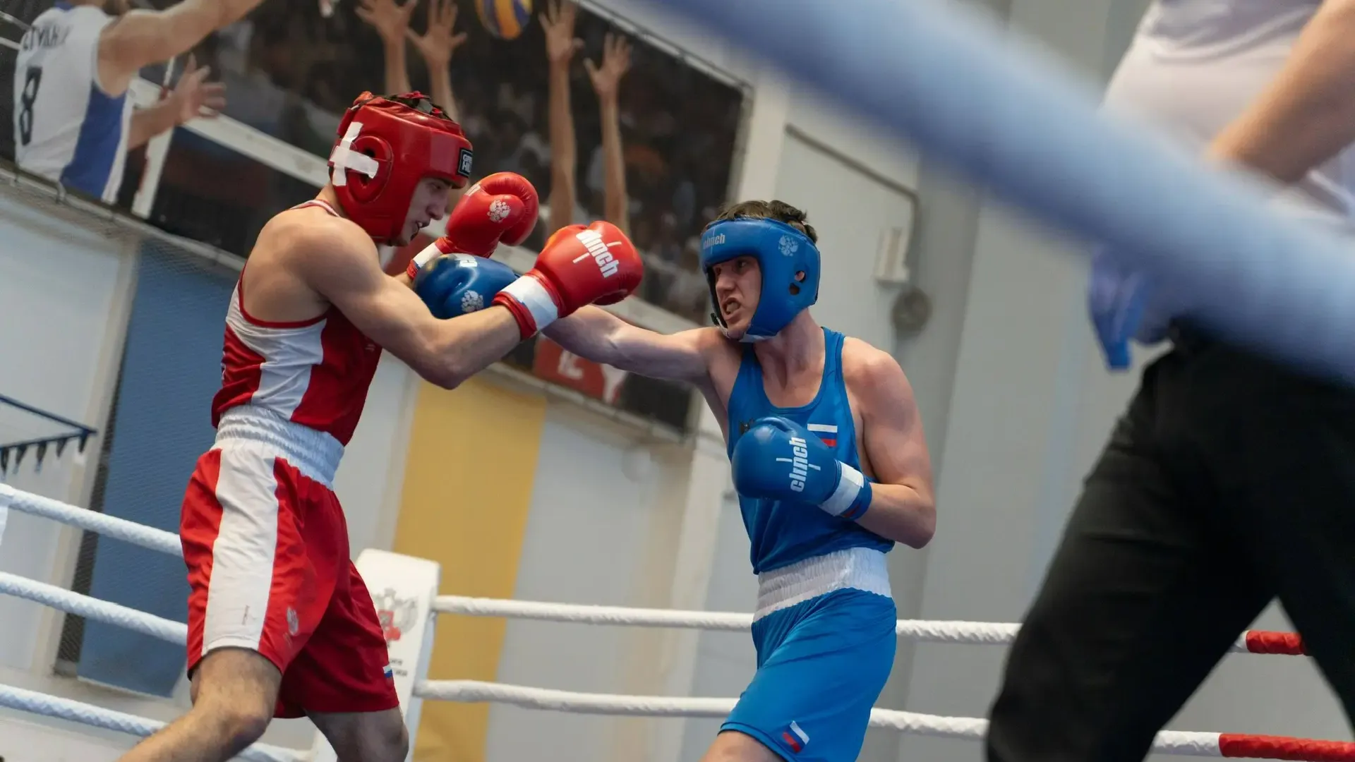 Федерация бокса России