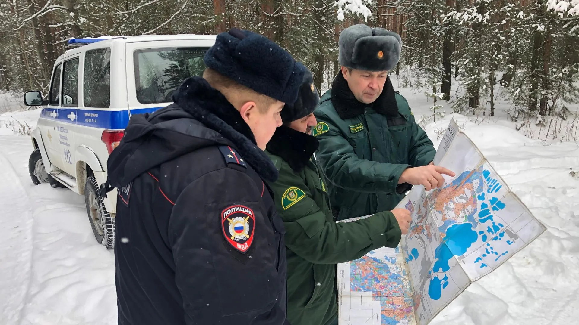 Фото: Шатурское лесничество