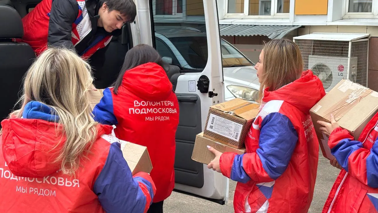 Фото: t.me/chehovvolonter