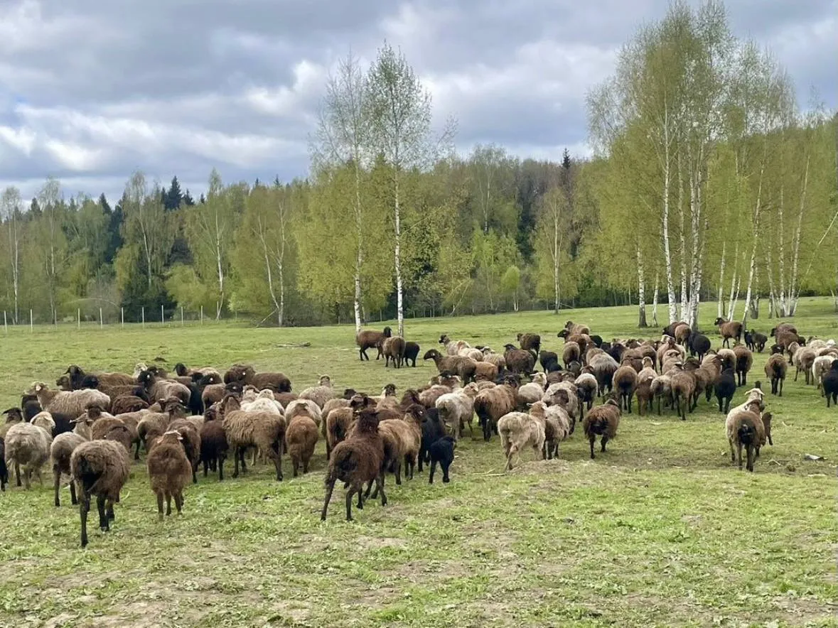 Фото: городская доска объявлений&nbsp;