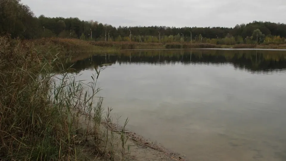 Фото: REGIONS/Василий Тремасов