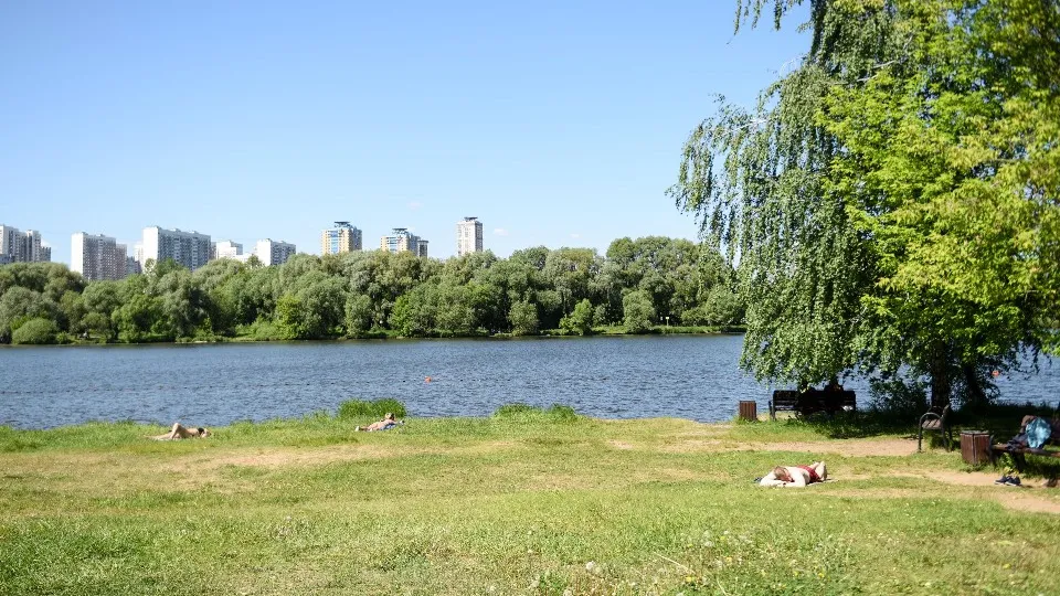 Фото: медиасток.рф