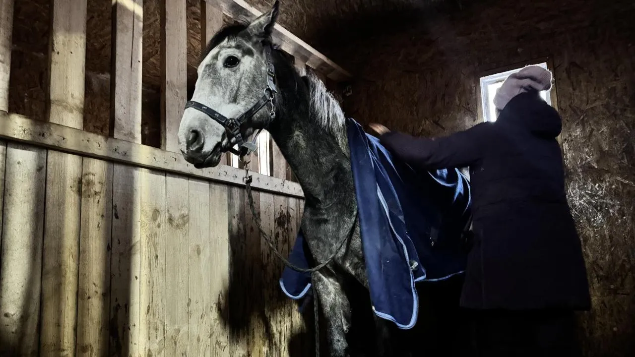 REGIONS/Татьяна Рунова