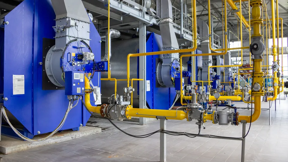 Фото: пресс-служба администрации г. о. Кашира