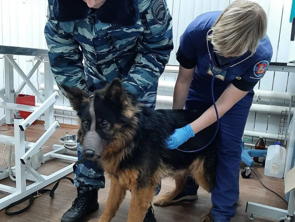 Фото: предоставлено Наталией Шинкаревич