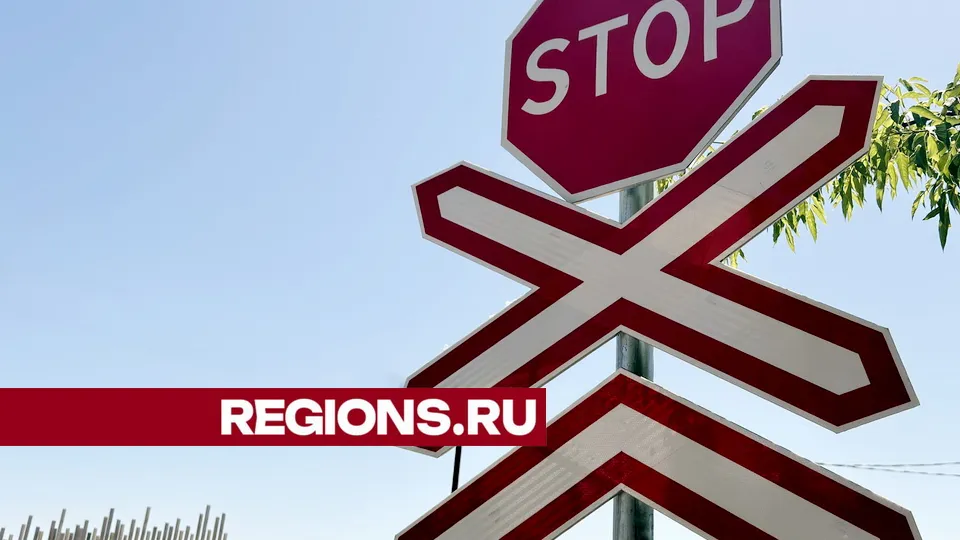 Фото: Александр Легкий