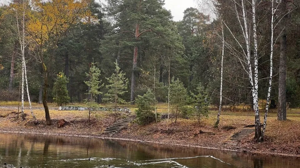 Фото: пресс-служба администрации городского округа Коломна