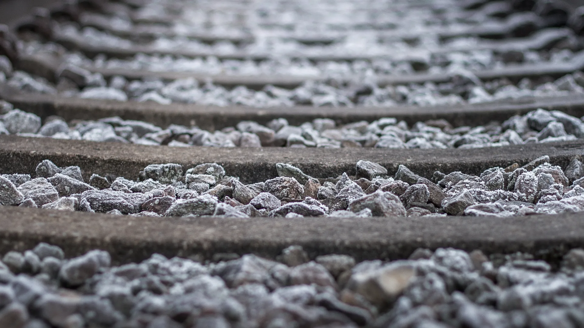 Фото: pxhere.com.