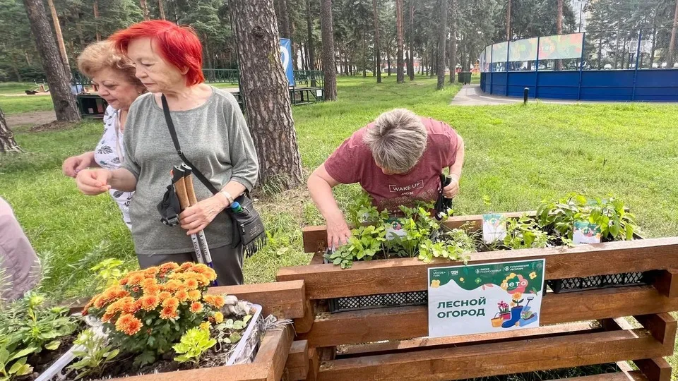 Фото: t.me/kuz_les