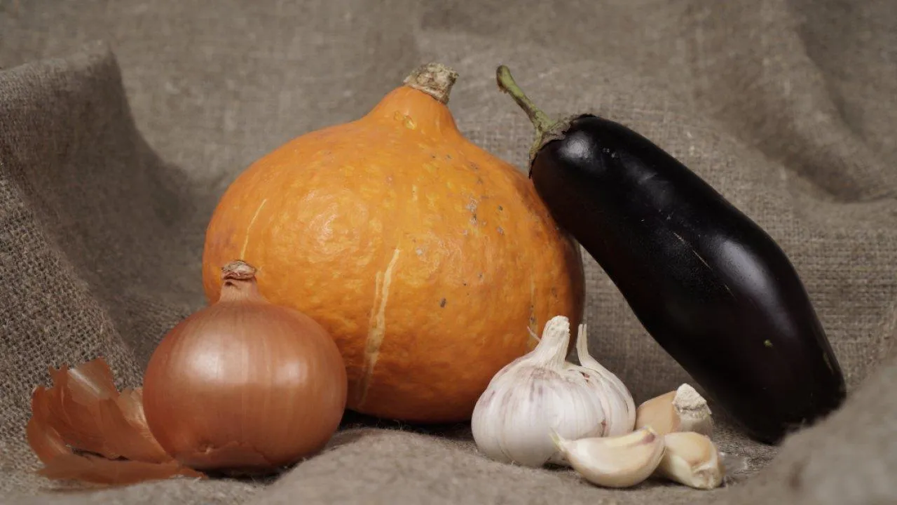 REGIONS/Дарина Левкина