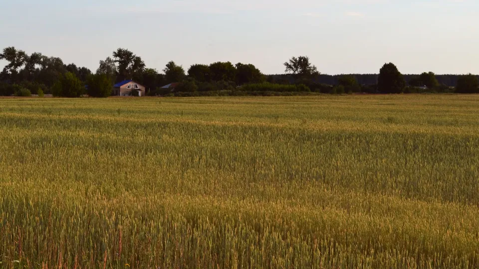 Фото: unsplash.com