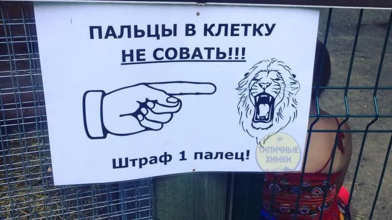 Типичные Химки / vk.com