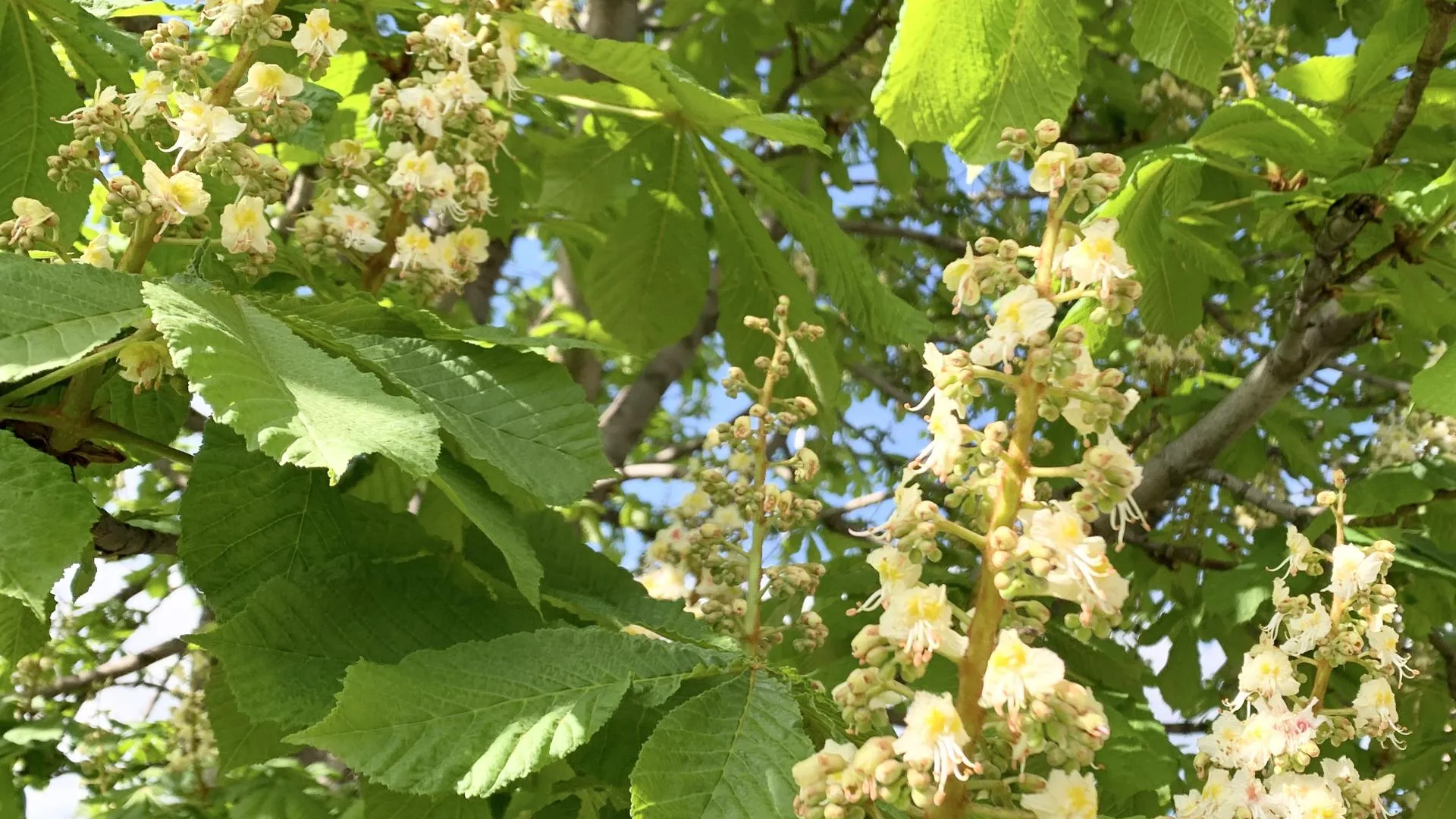 Фото Ирины Мальцевой