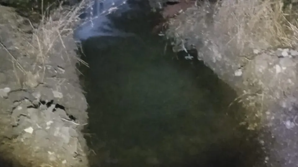 Фото: REGIONS/Наталия Надточая