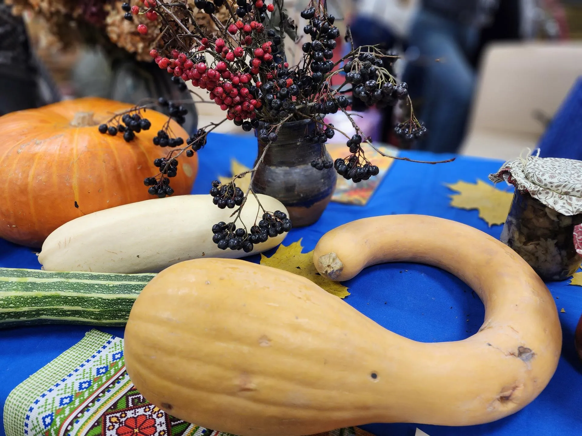 Кабачок в форме вопросительного знака. Фото: REGIONS/Наталья Дорошева