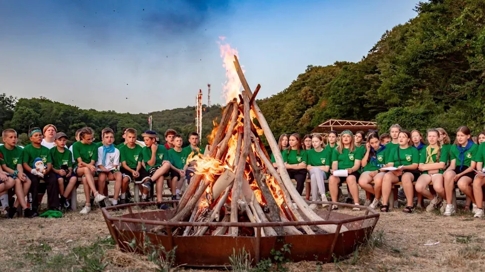 Фото: Комитет лесного хозяйства Московской области