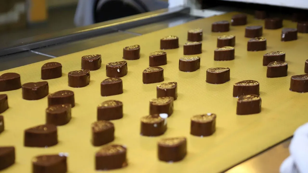 Фото: t.me/vdv_volkov