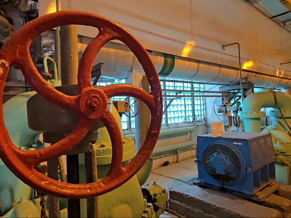 Фото: Марина Анисимова