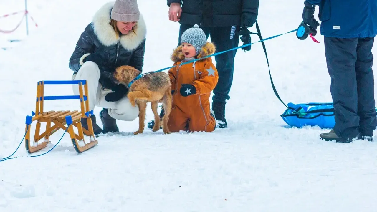 Минблагоустройства Московской области