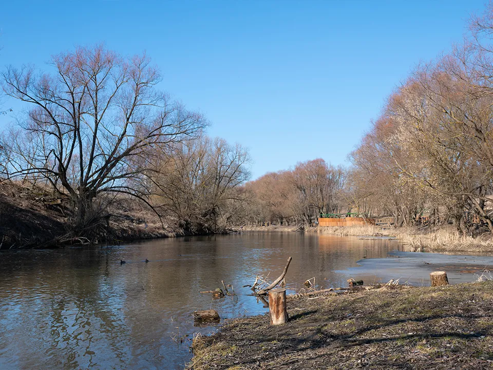 Фото: REGIONS/Евгений Мазепов