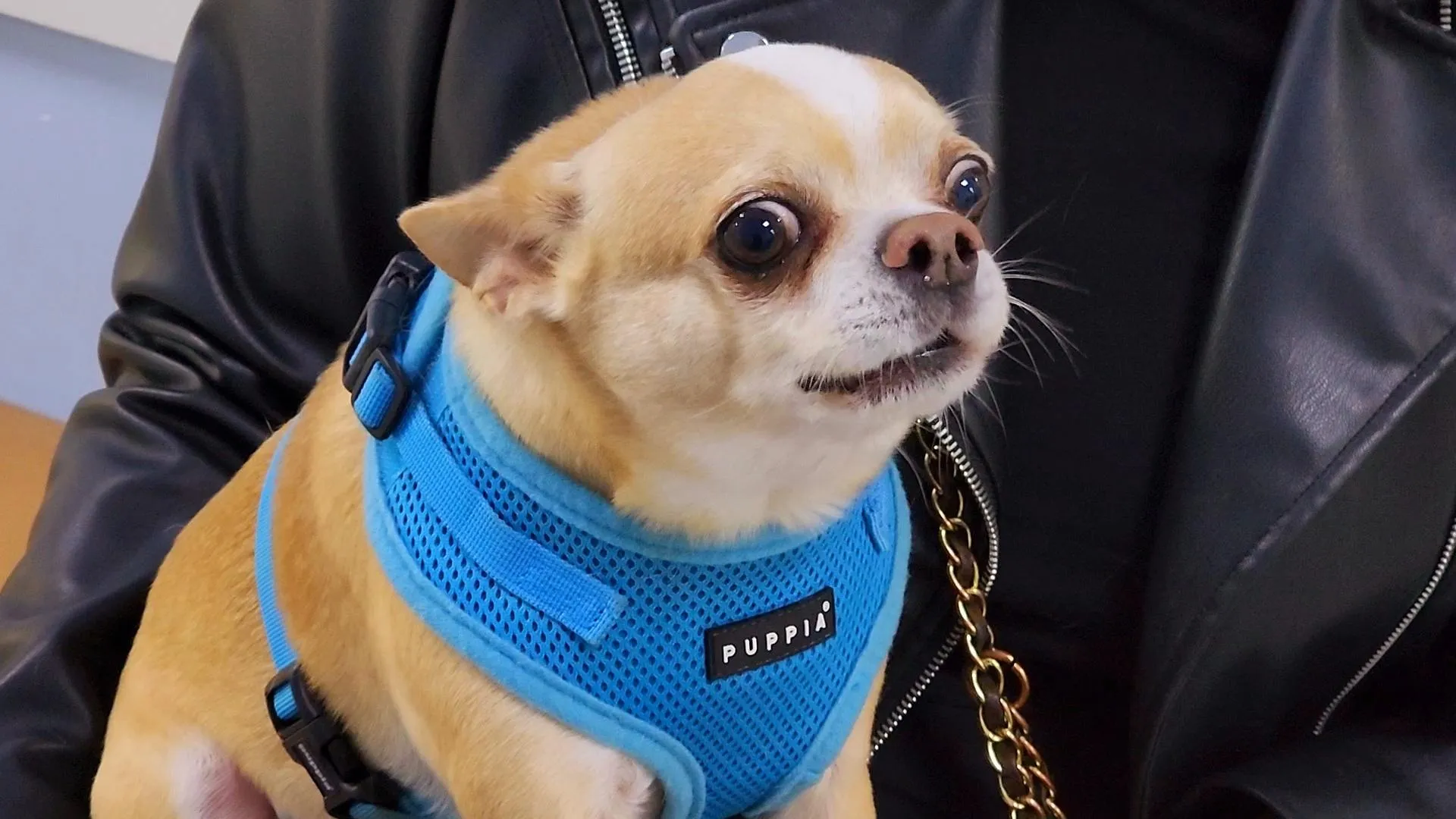 Сморкалов Никита