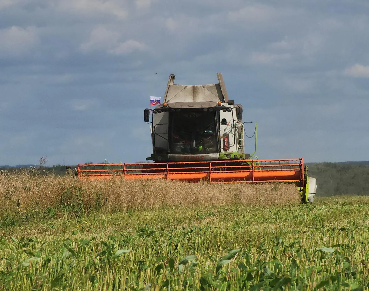 Фото: Станислав Орлов