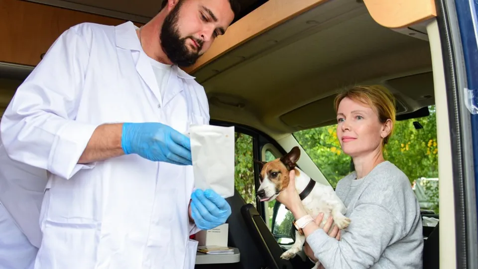 Фото: Минсельхоз МО