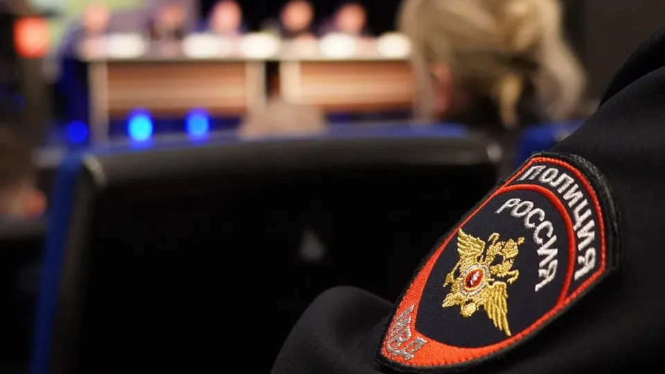 Фото: пресс-служба ОМВД России по Рузскому городскому округу