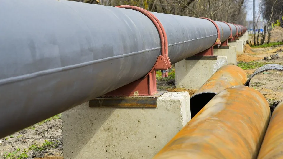 Фото: пресс-служба администрации г.о. Солнечногорск