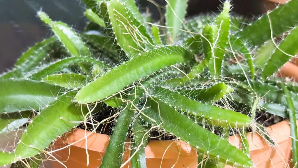 Фото: REGIONS/Илья Попов